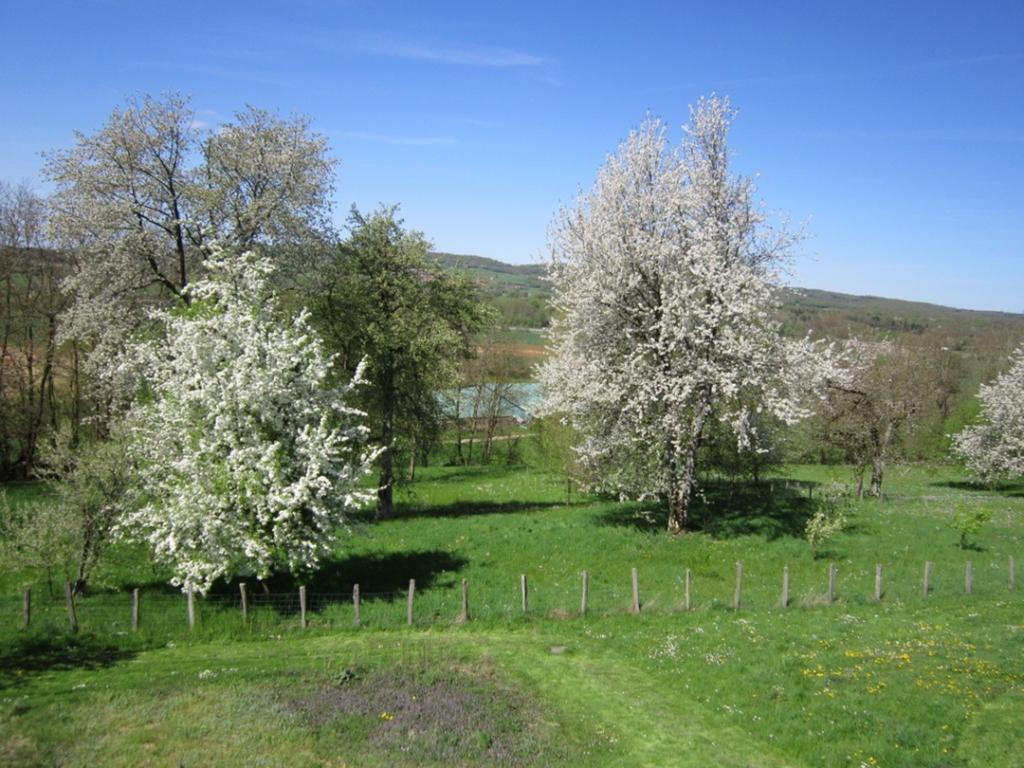 Gite Les Cossas Saint-Hilaire  Exterior foto